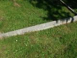 image of grave number 262934
